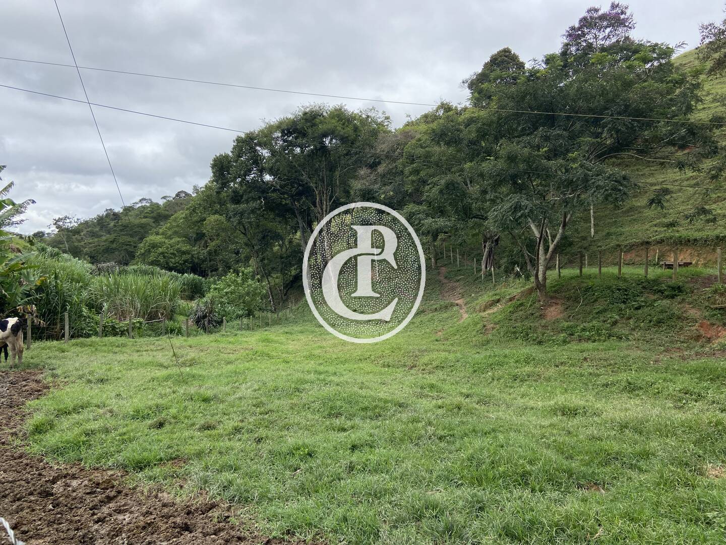 Sítio, 3 quartos, 19 hectares - Foto 19