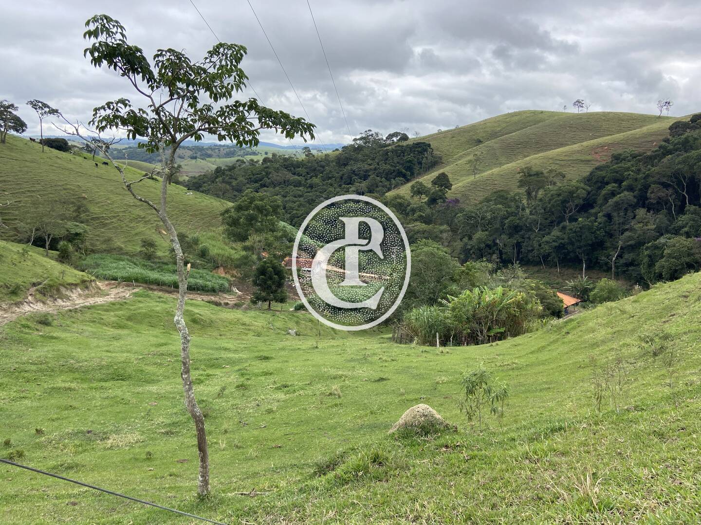 Sítio, 3 quartos, 19 hectares - Foto 21