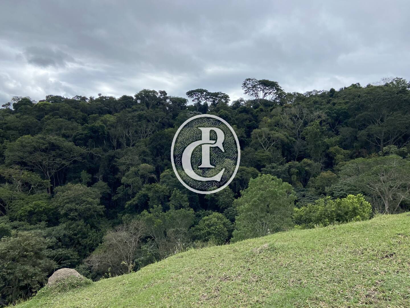 Sítio, 3 quartos, 19 hectares - Foto 23