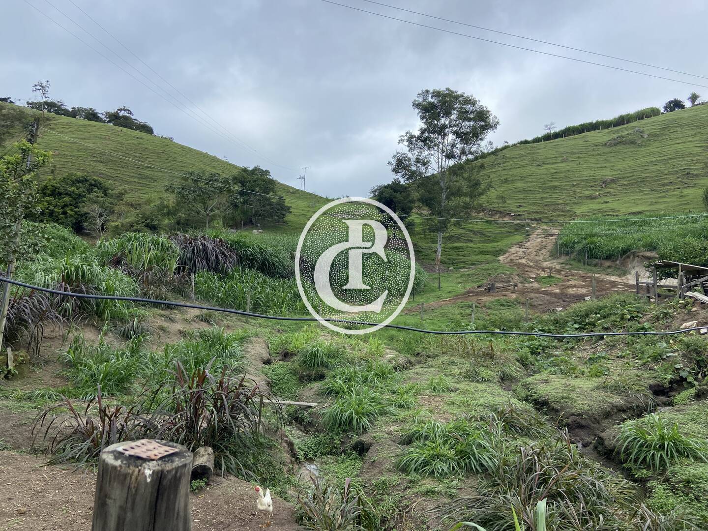 Sítio, 3 quartos, 19 hectares - Foto 24