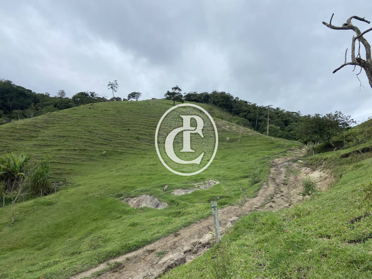 Sítio, 3 quartos, 19 hectares - Foto 25