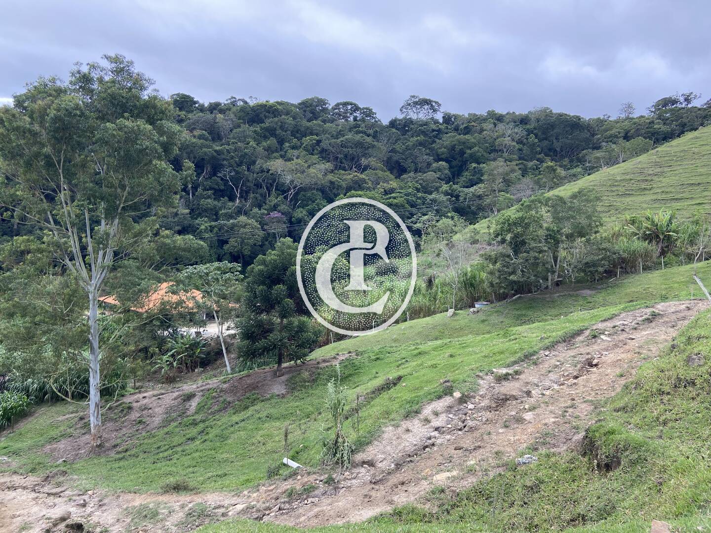 Sítio, 3 quartos, 19 hectares - Foto 28