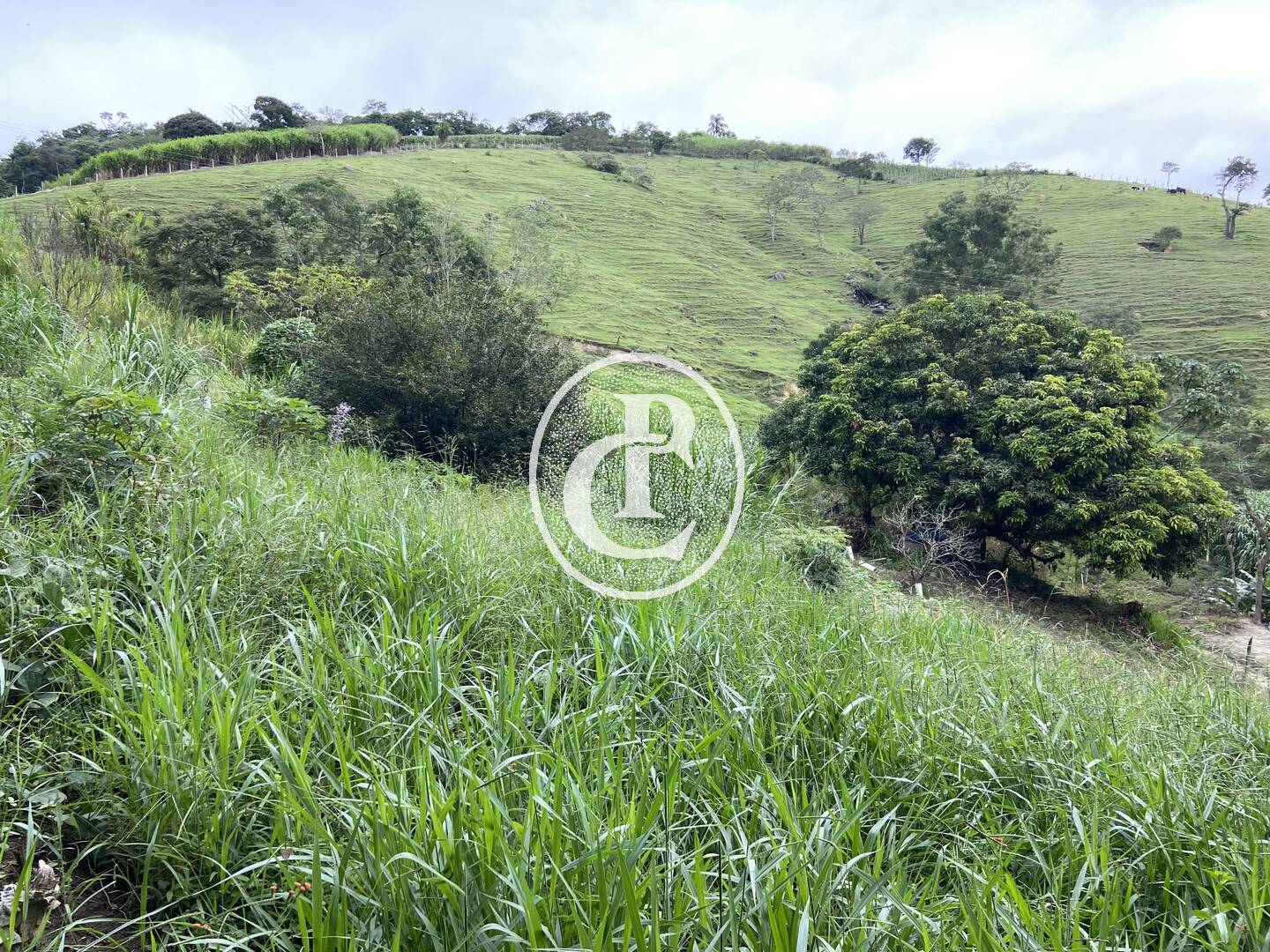 Sítio, 3 quartos, 19 hectares - Foto 29