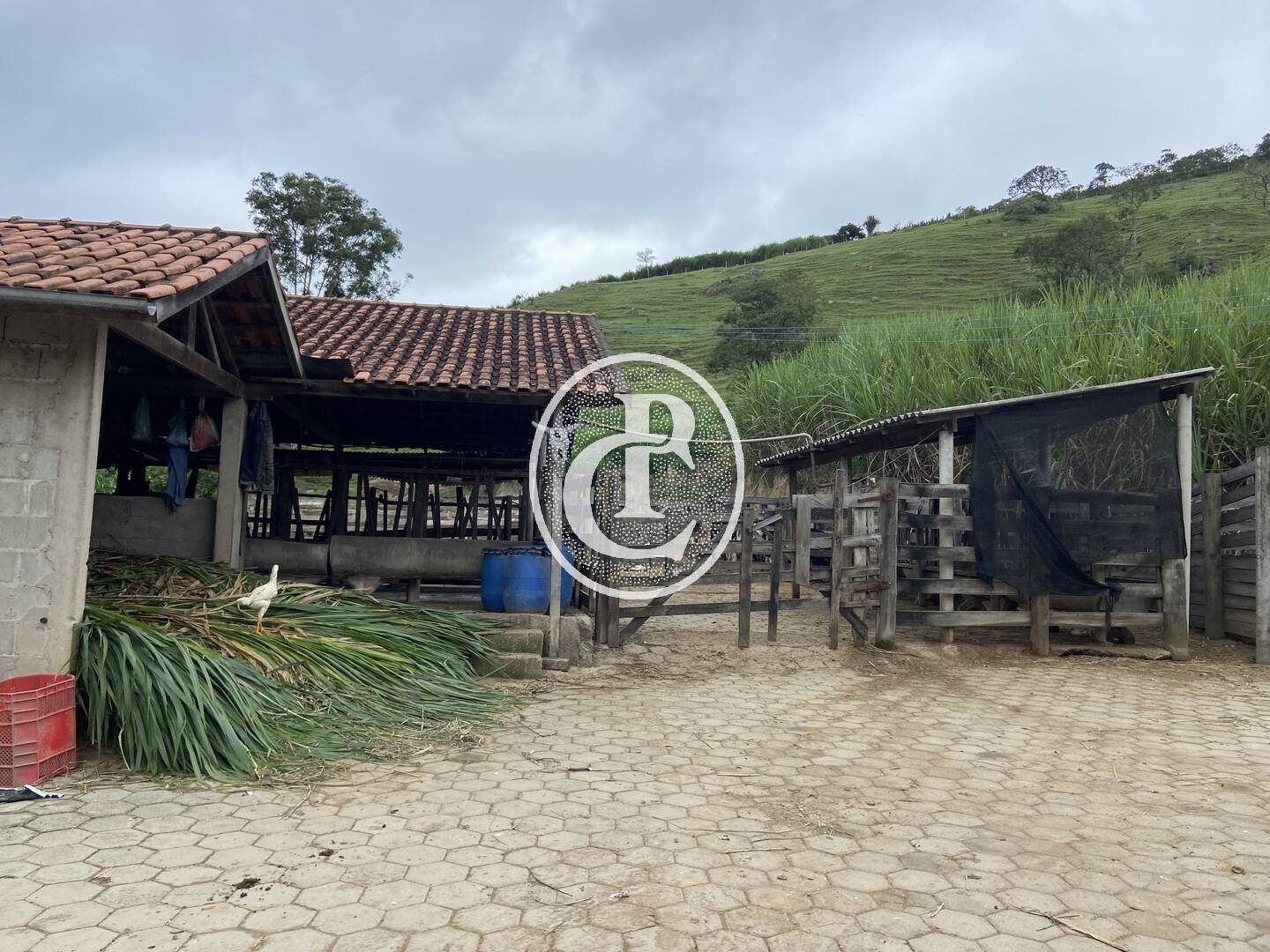 Sítio, 3 quartos, 19 hectares - Foto 31