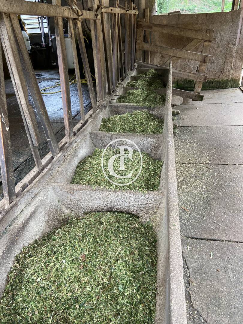 Sítio, 3 quartos, 19 hectares - Foto 37