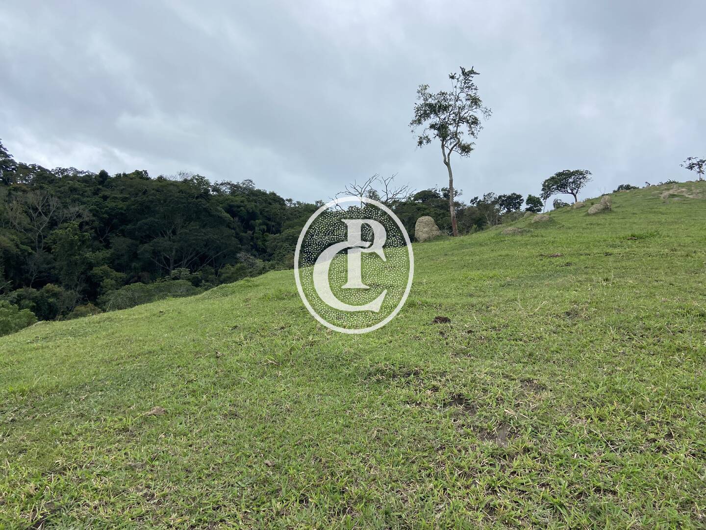 Sítio, 3 quartos, 19 hectares - Foto 38