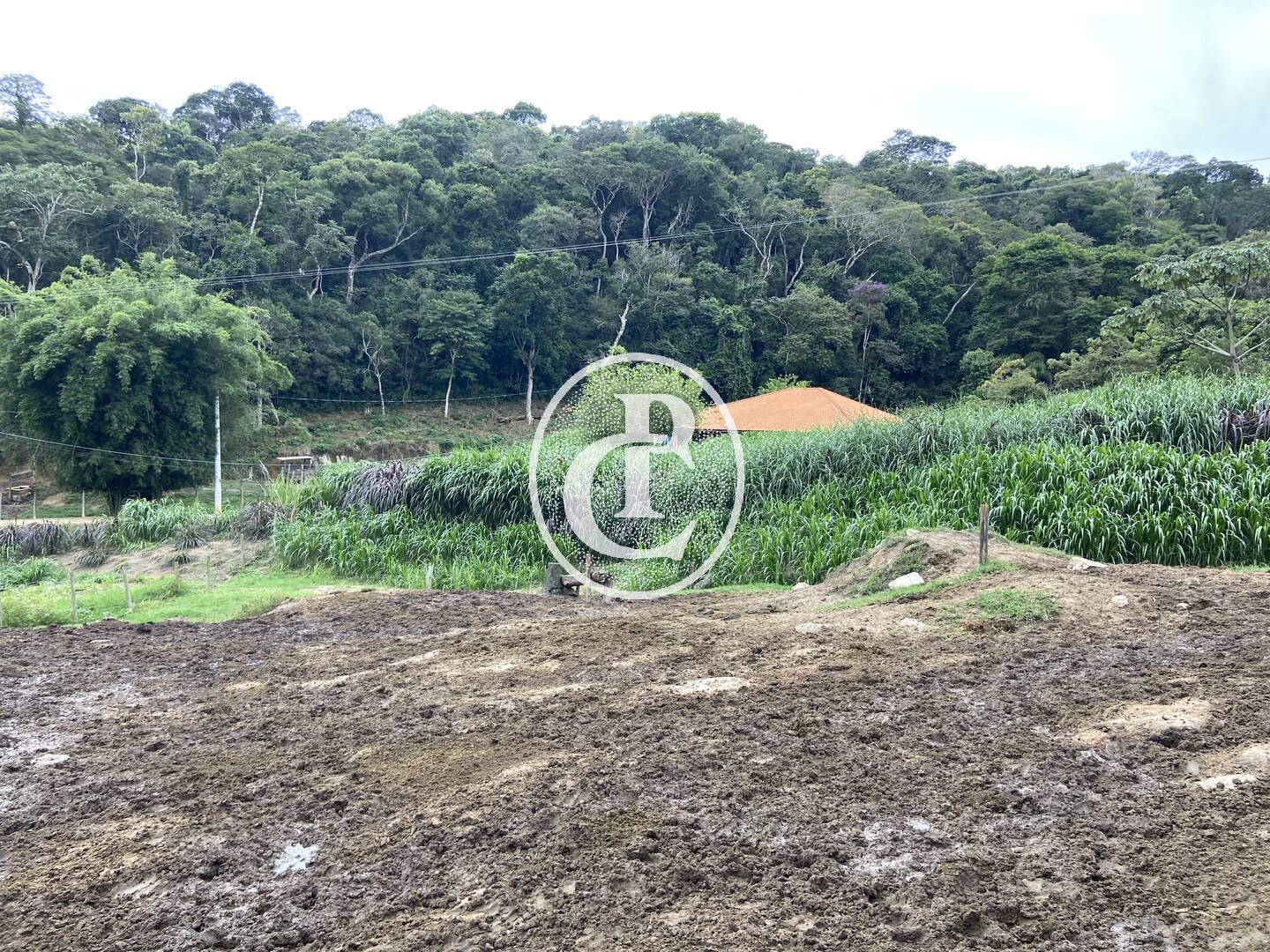 Sítio, 3 quartos, 19 hectares - Foto 40