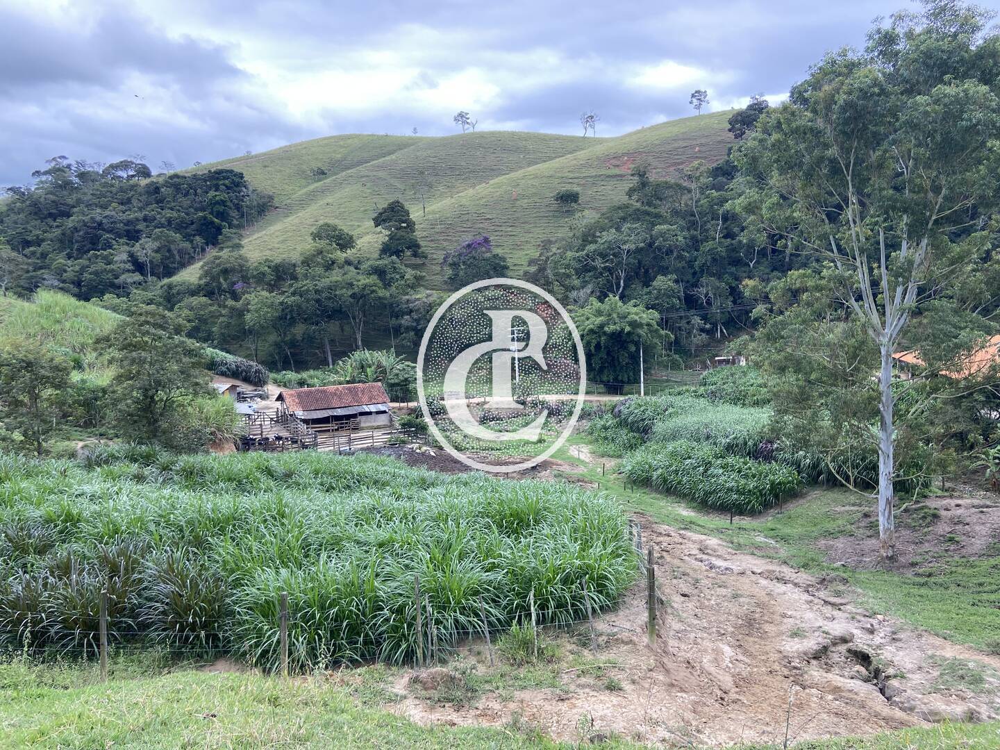 Sítio, 3 quartos, 19 hectares - Foto 41