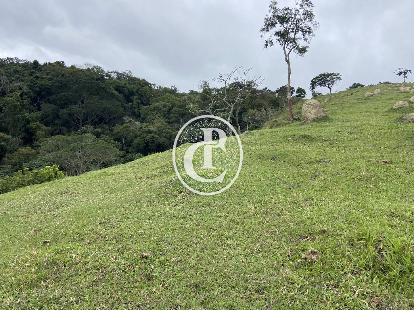 Sítio, 3 quartos, 19 hectares - Foto 42