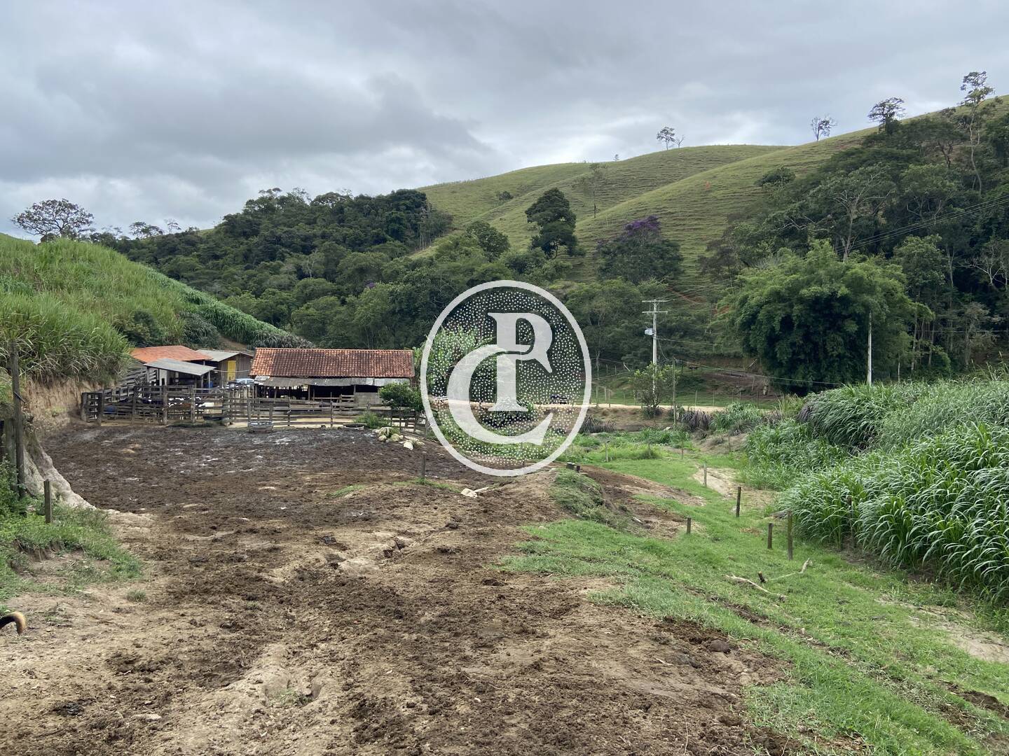 Sítio, 3 quartos, 19 hectares - Foto 43