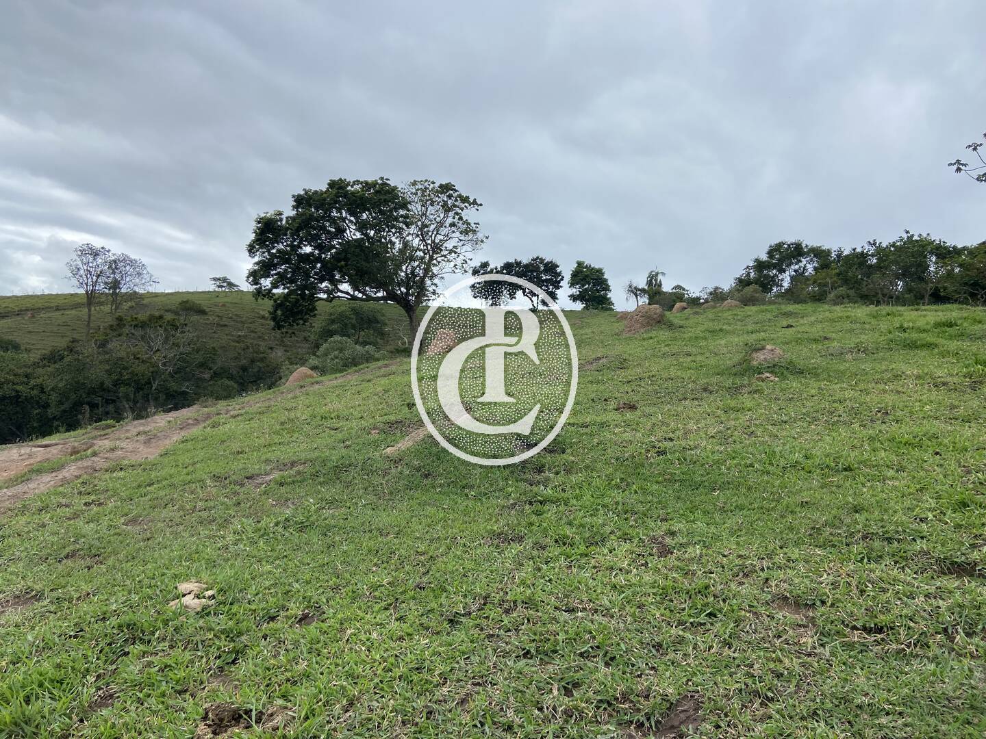 Sítio, 3 quartos, 19 hectares - Foto 44