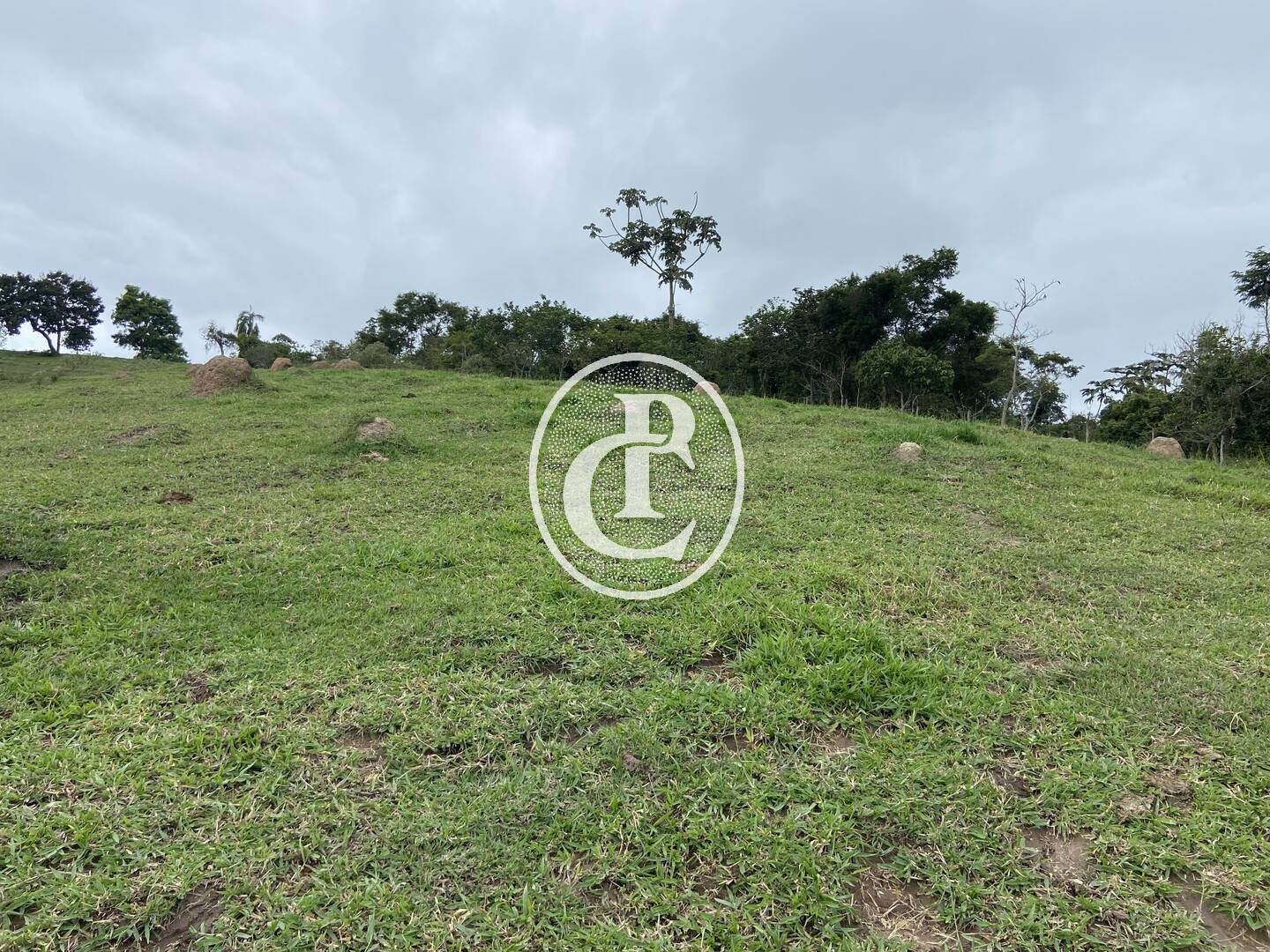 Sítio, 3 quartos, 19 hectares - Foto 46