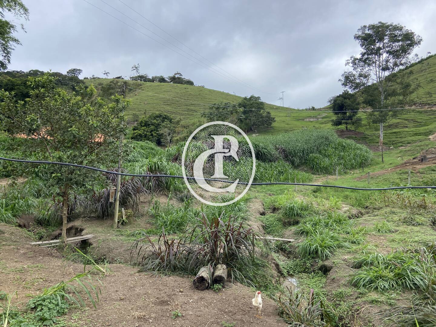 Sítio, 3 quartos, 19 hectares - Foto 47