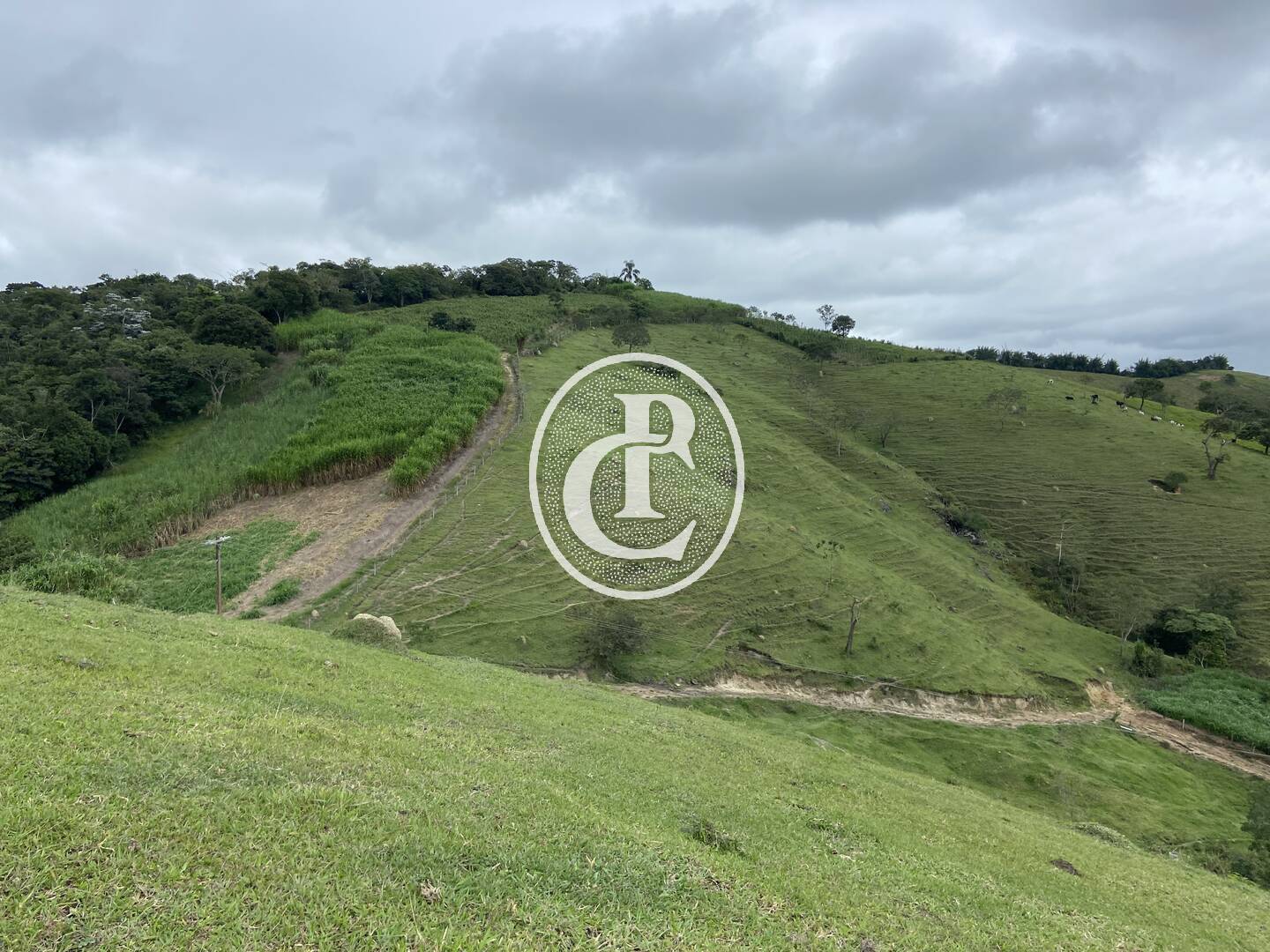 Sítio, 3 quartos, 19 hectares - Foto 49