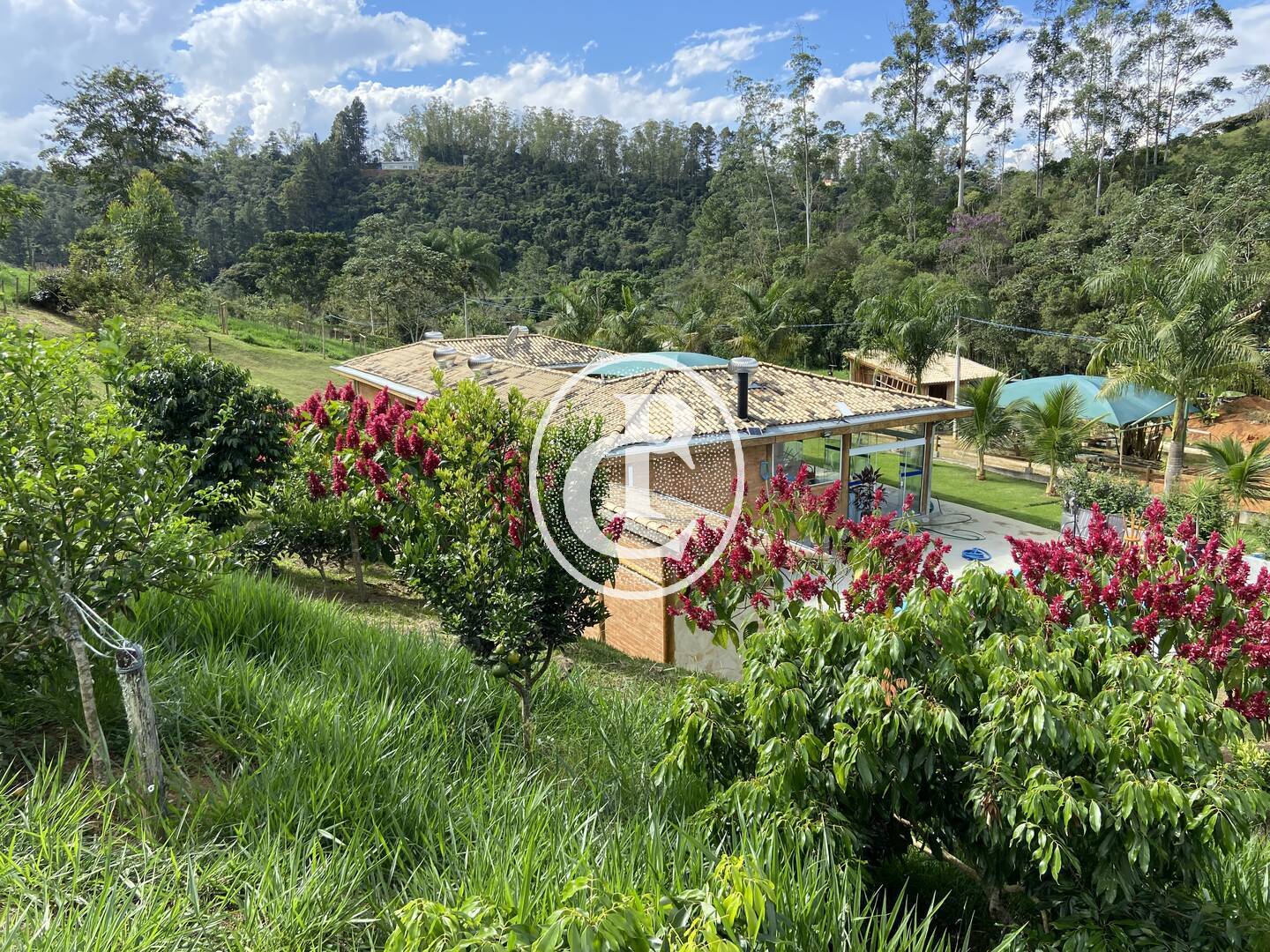 Chácara, 3 quartos, 2 hectares - Foto 7