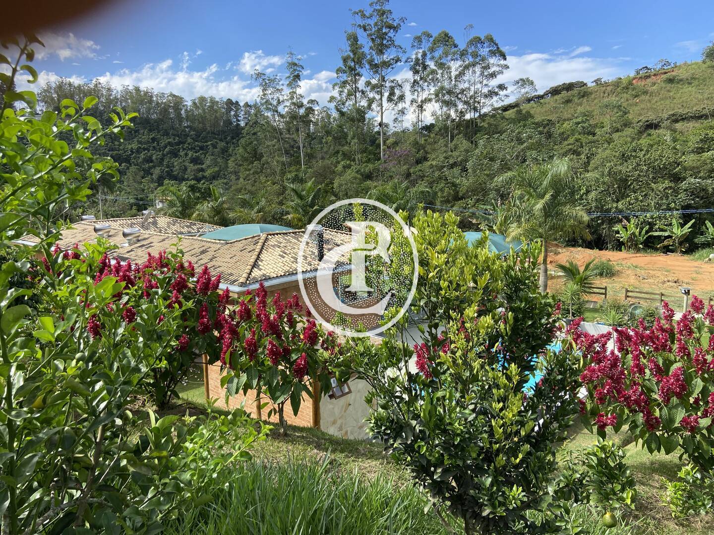 Chácara, 3 quartos, 2 hectares - Foto 10