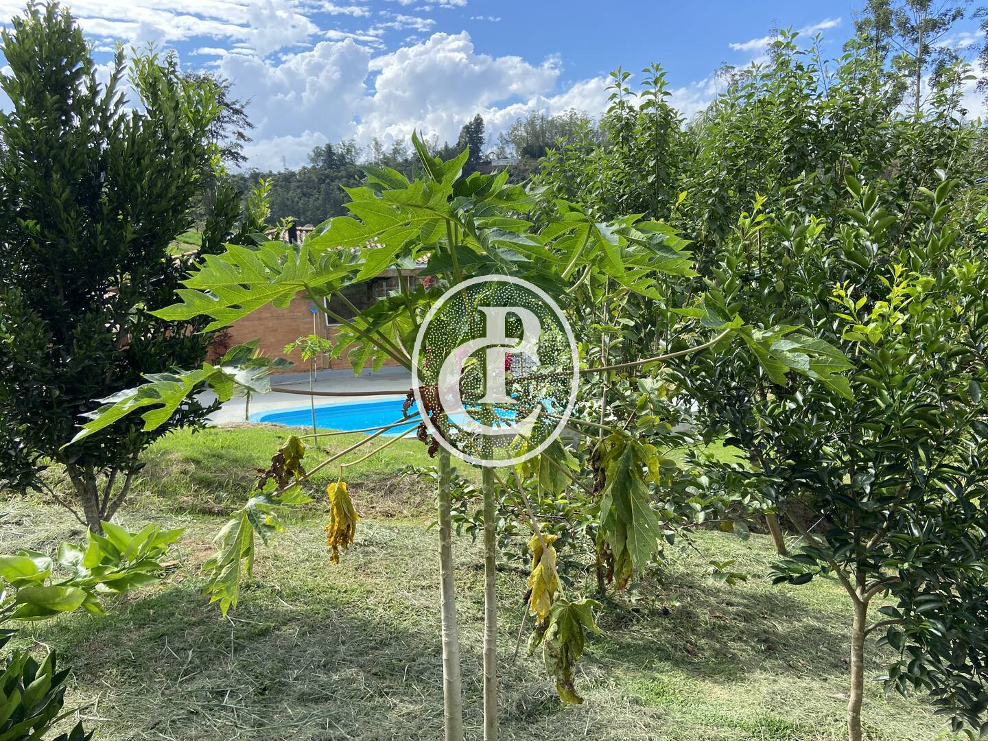 Chácara, 3 quartos, 2 hectares - Foto 15