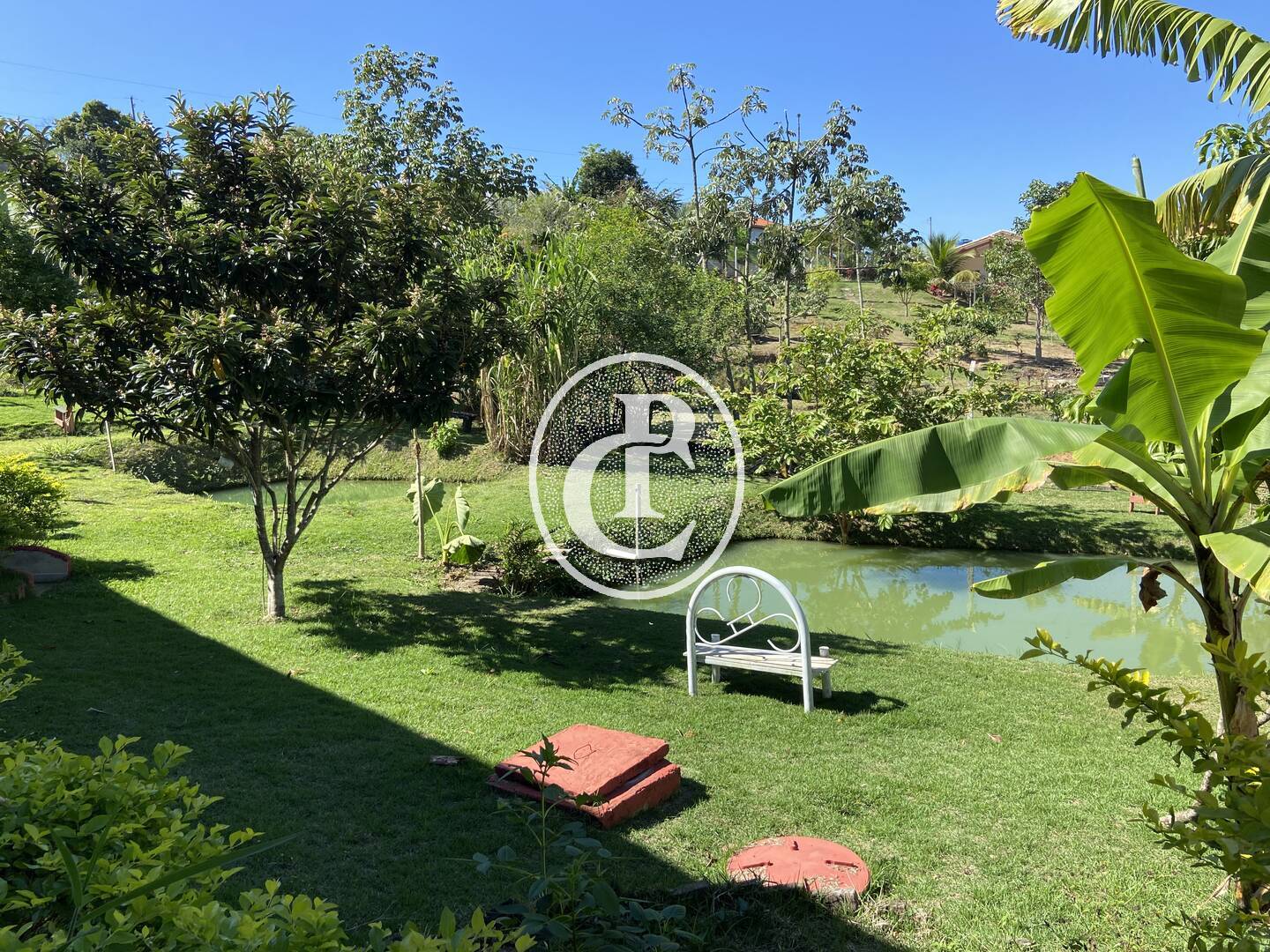 Chácara, 3 quartos, 1100 m² - Foto 7