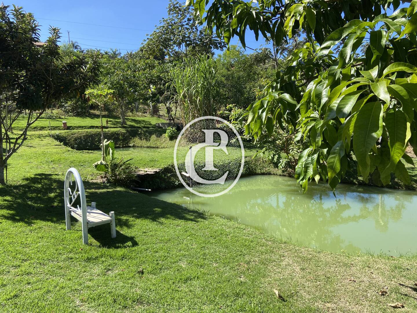 Chácara, 3 quartos, 1100 m² - Foto 10