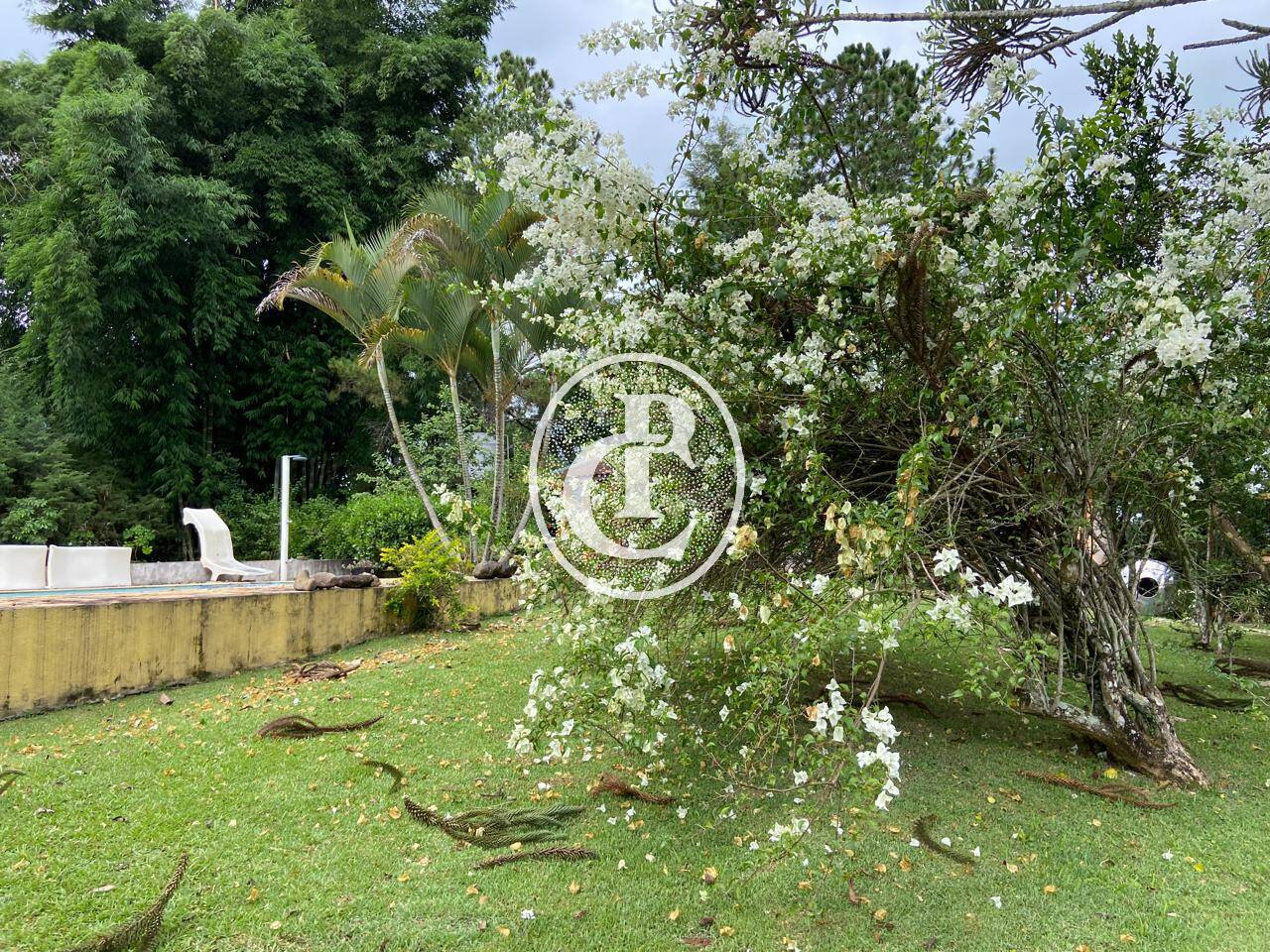 Chácara, 2 quartos, 3600 m² - Foto 4