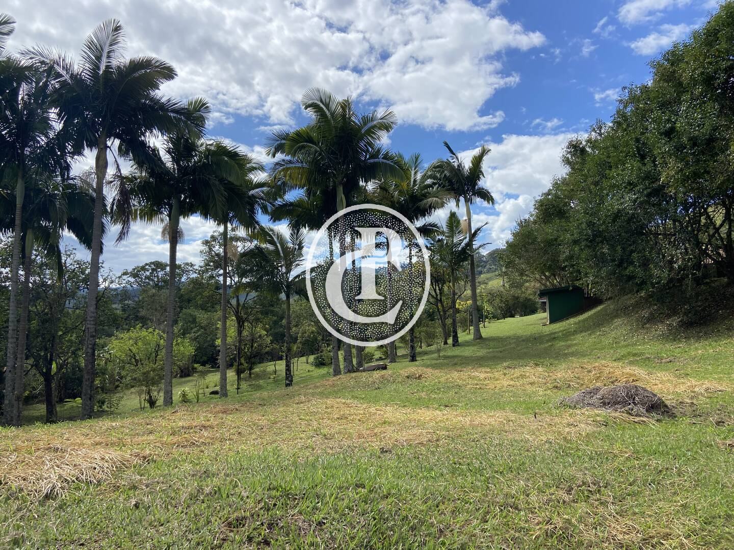 Chácara, 3 quartos, 10000 m² - Foto 5