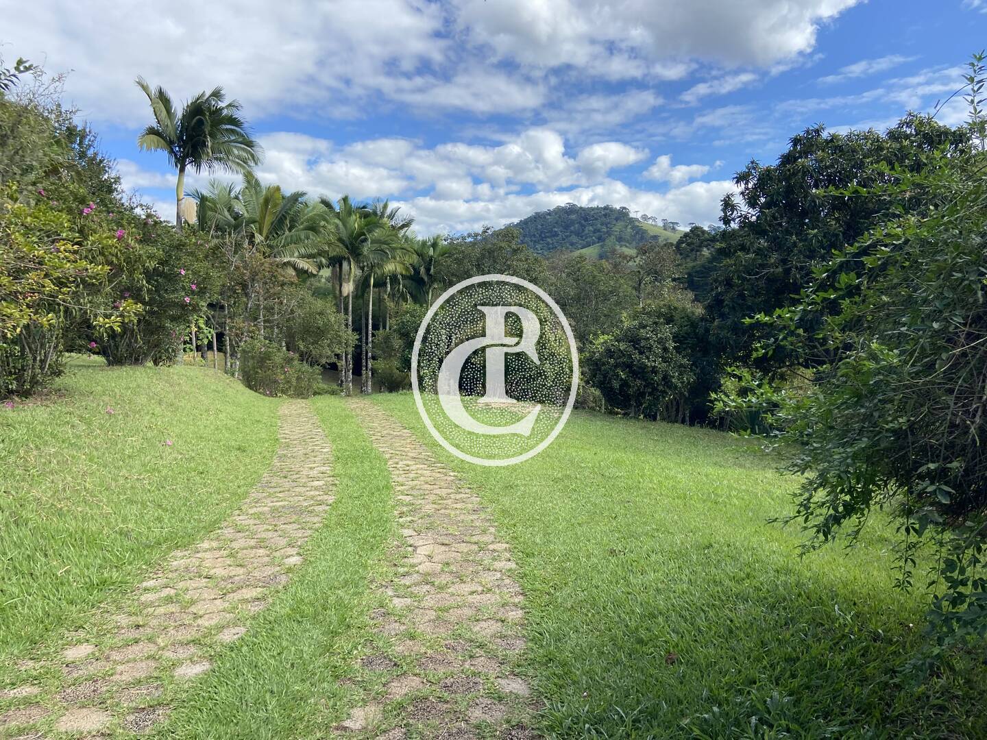 Chácara, 3 quartos, 10000 m² - Foto 8