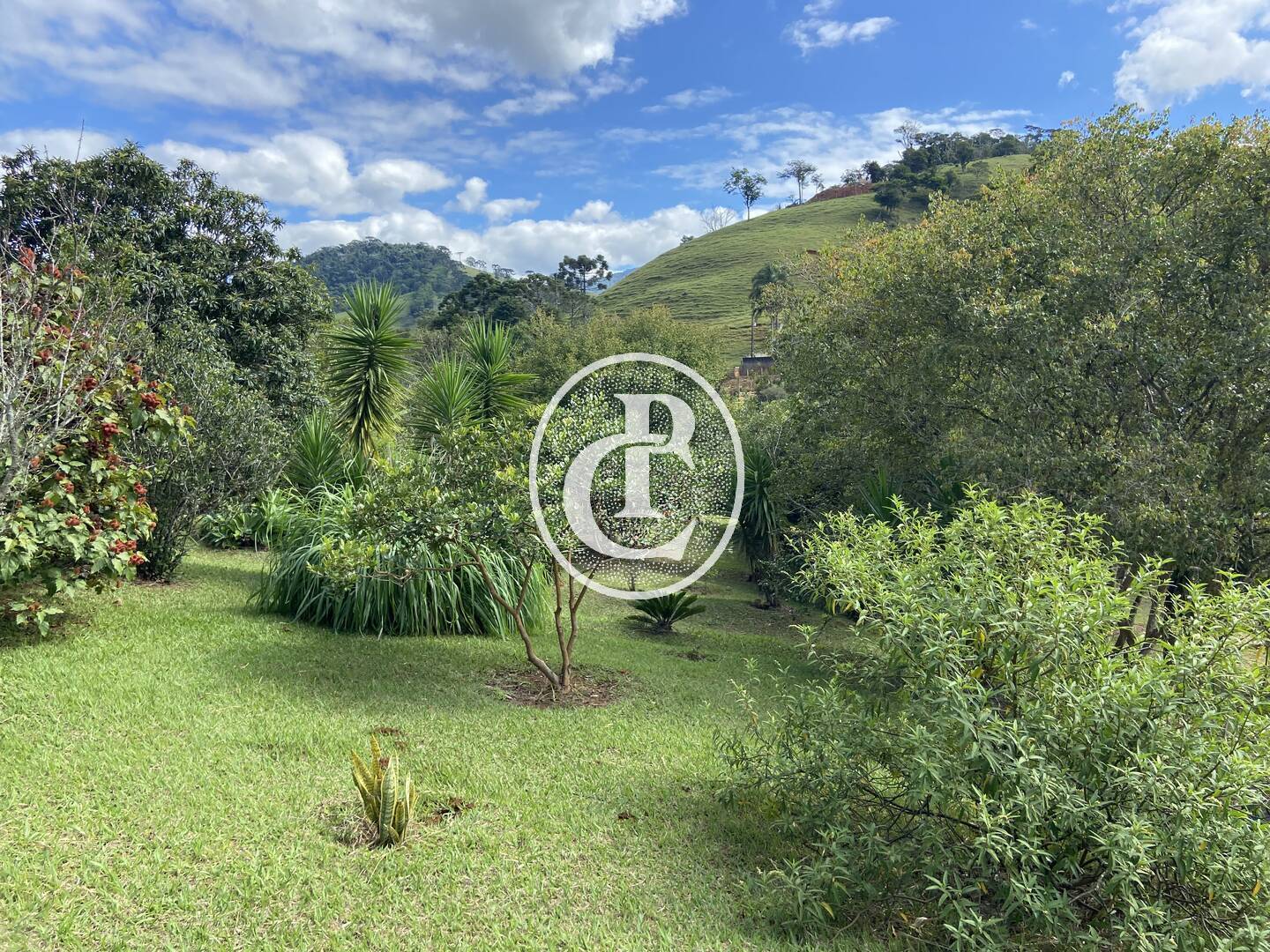 Chácara, 3 quartos, 10000 m² - Foto 10