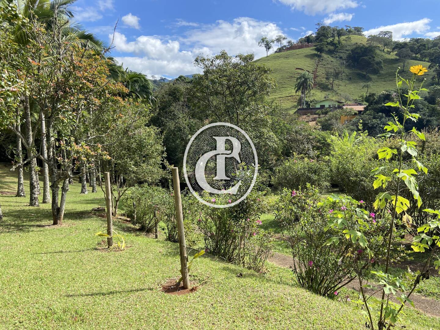 Chácara, 3 quartos, 10000 m² - Foto 11