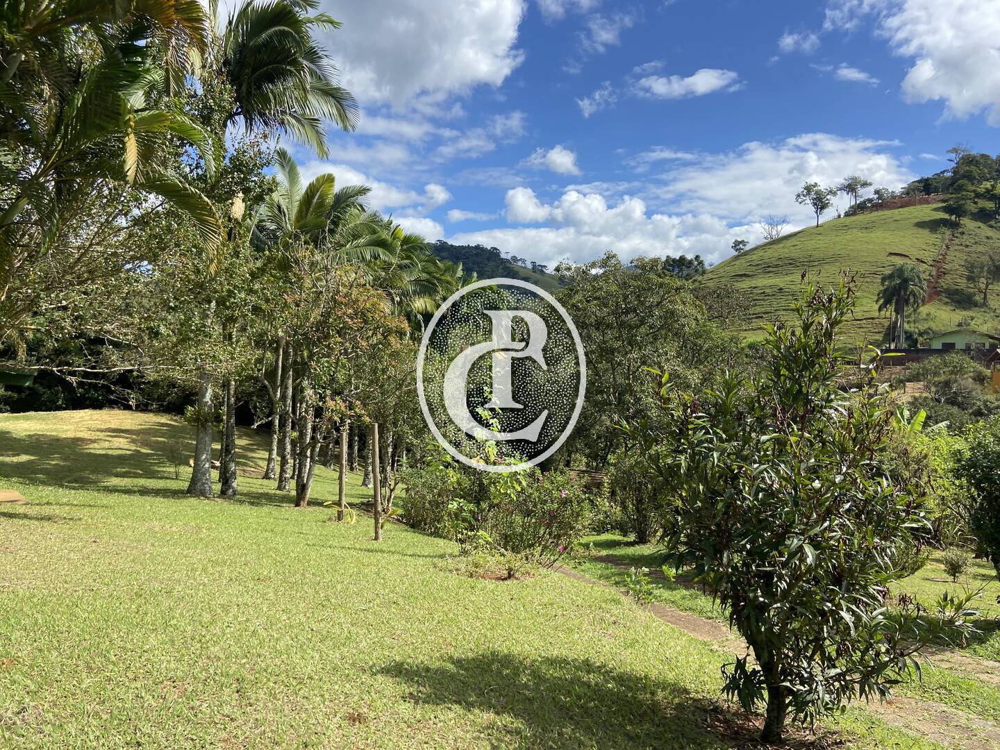 Chácara, 3 quartos, 10000 m² - Foto 17