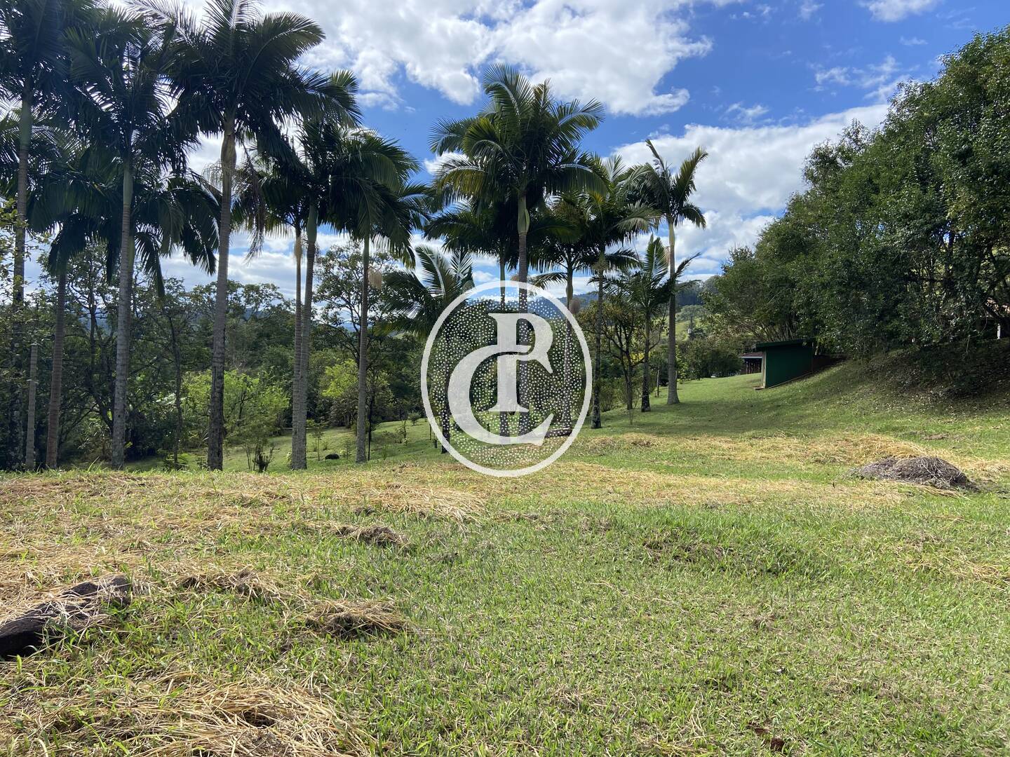 Chácara, 3 quartos, 10000 m² - Foto 19