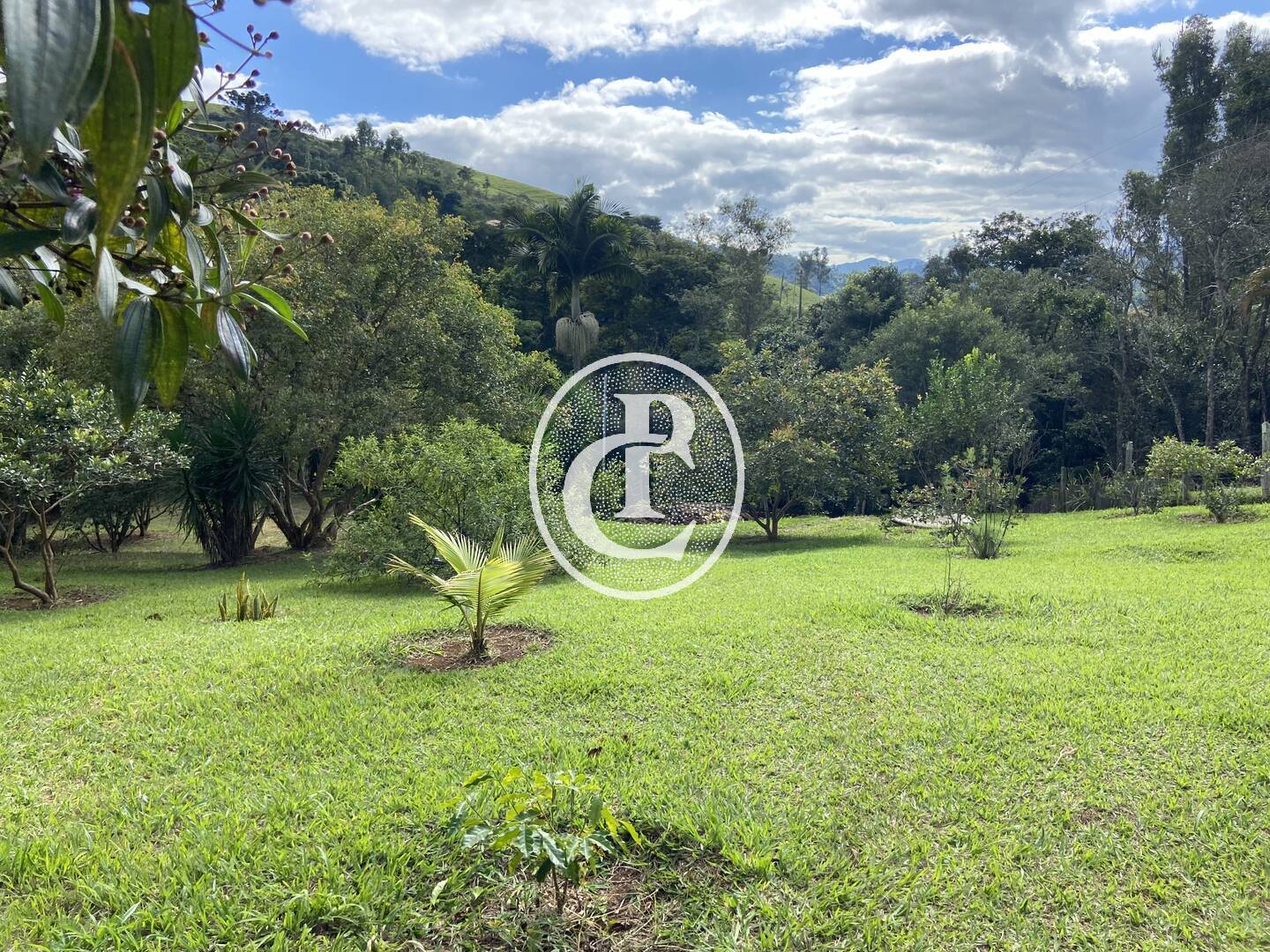 Chácara, 3 quartos, 10000 m² - Foto 22