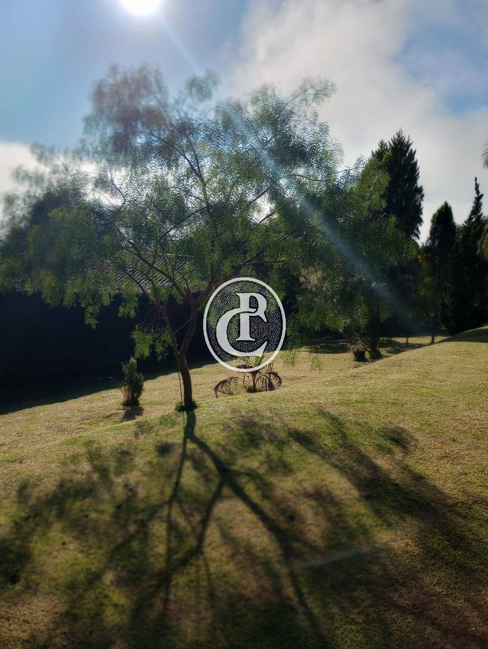 Chácara, 3 quartos, 2000 m² - Foto 5