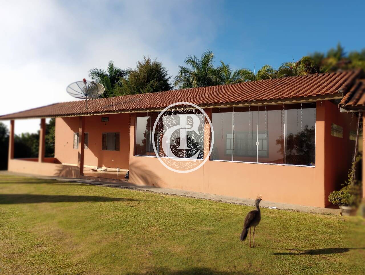 Chácara, 3 quartos, 2000 m² - Foto 2