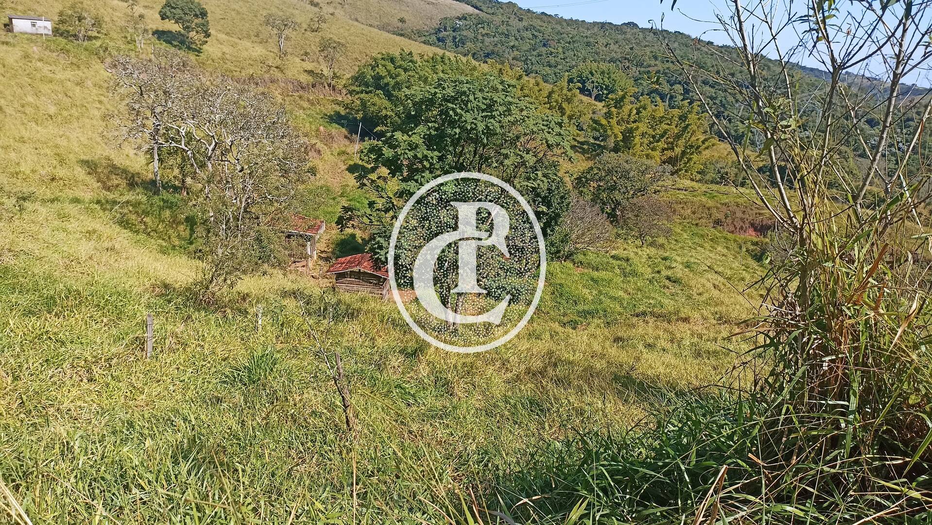 Sítio, 3 quartos, 300 m² - Foto 19