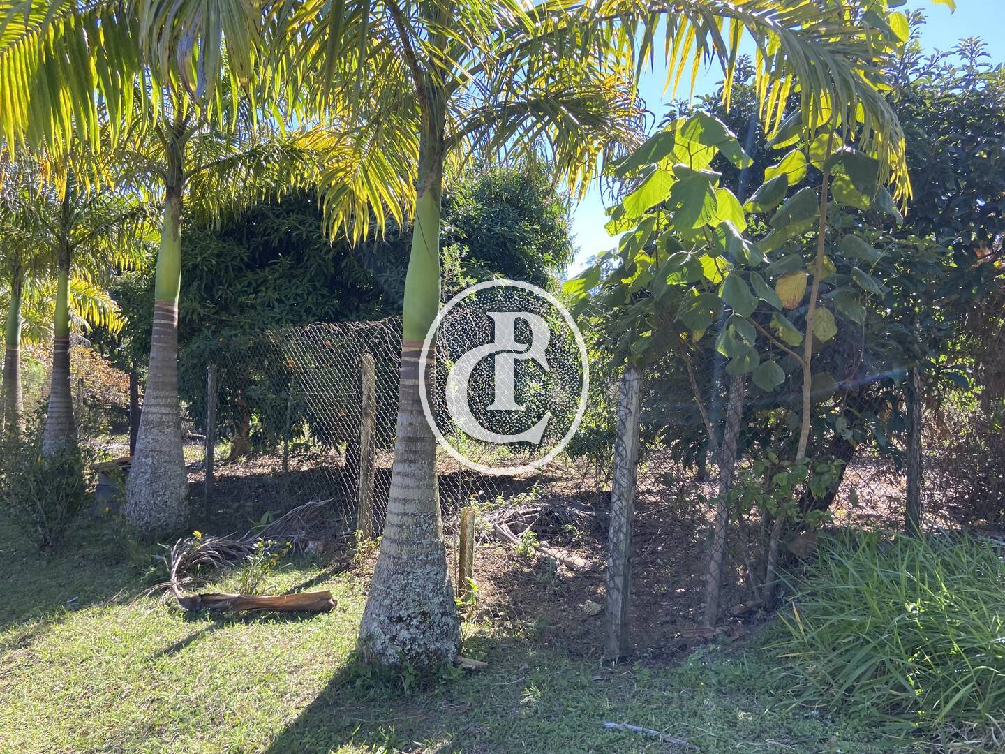 Chácara, 2 quartos, 2 hectares - Foto 1