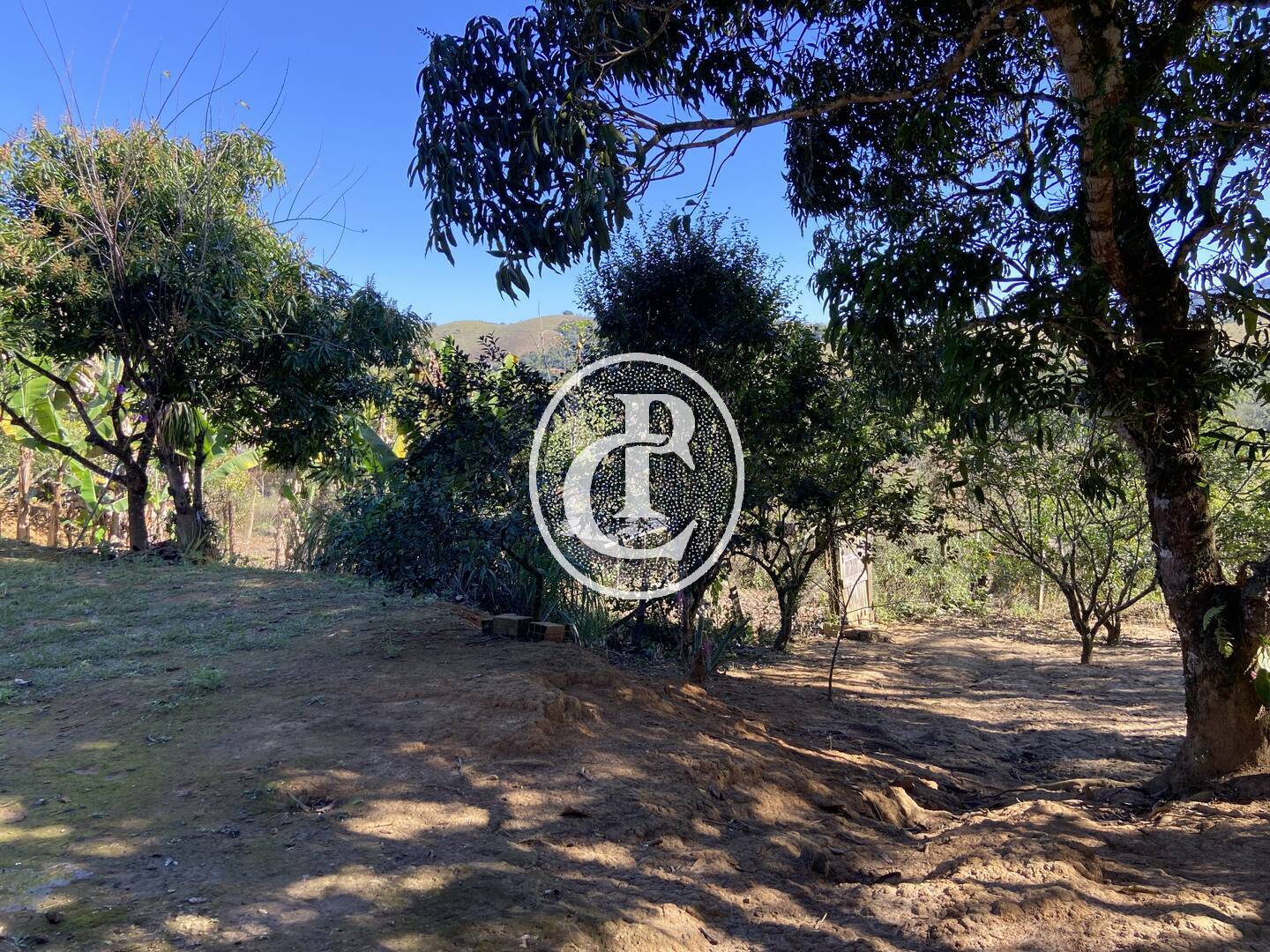 Chácara, 2 quartos, 2 hectares - Foto 2