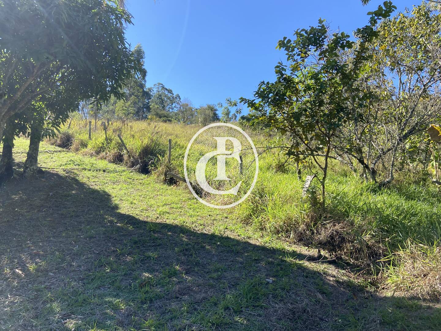 Chácara, 2 quartos, 2 hectares - Foto 3