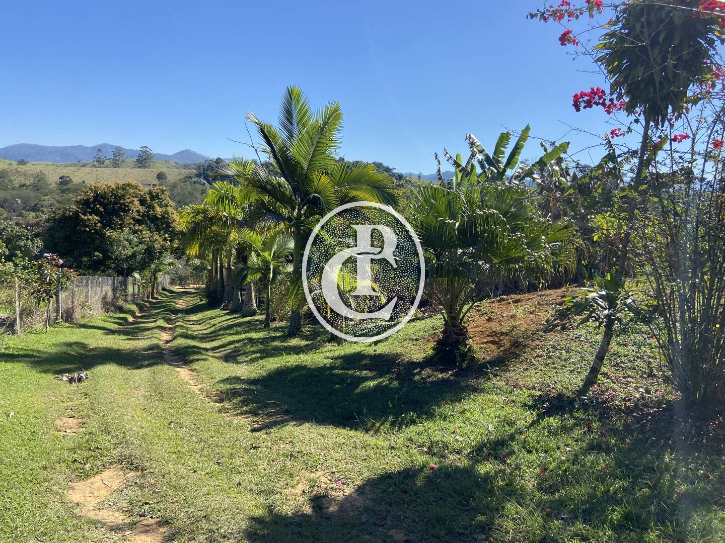 Chácara, 2 quartos, 2 hectares - Foto 4