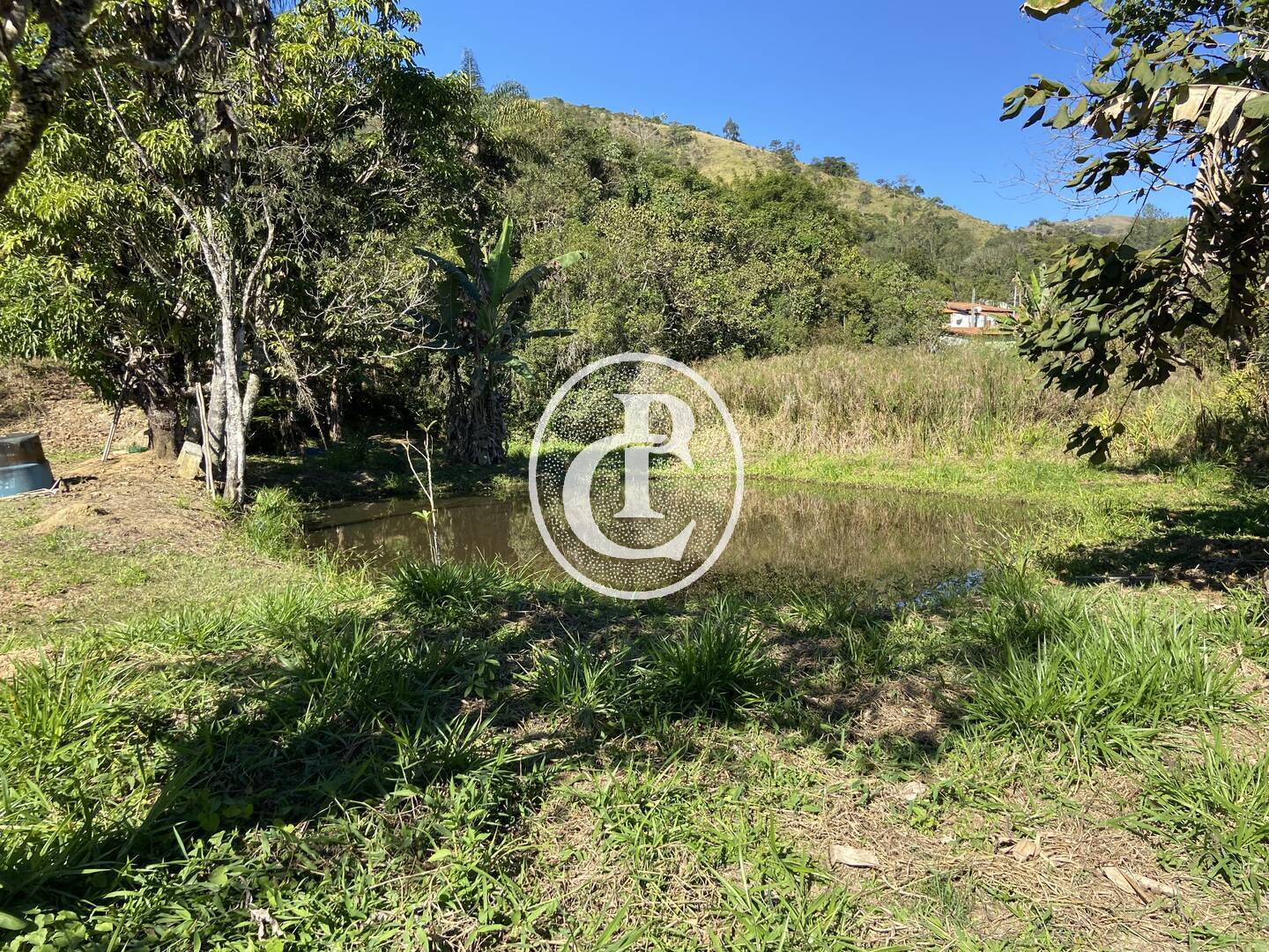 Chácara, 2 quartos, 2 hectares - Foto 9