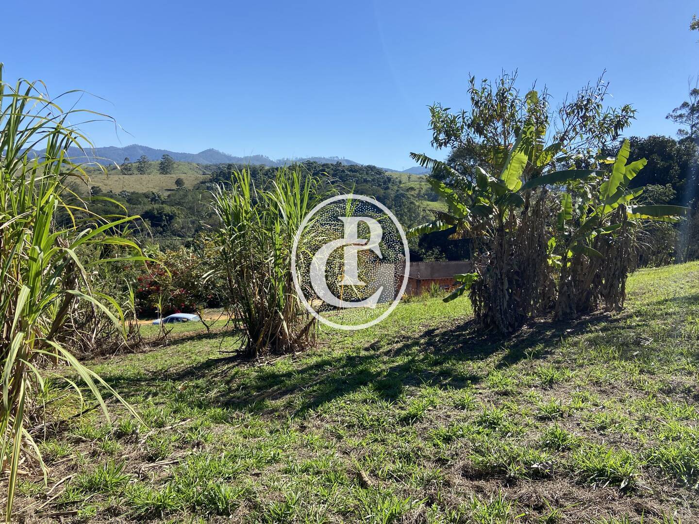 Chácara, 2 quartos, 2 hectares - Foto 11