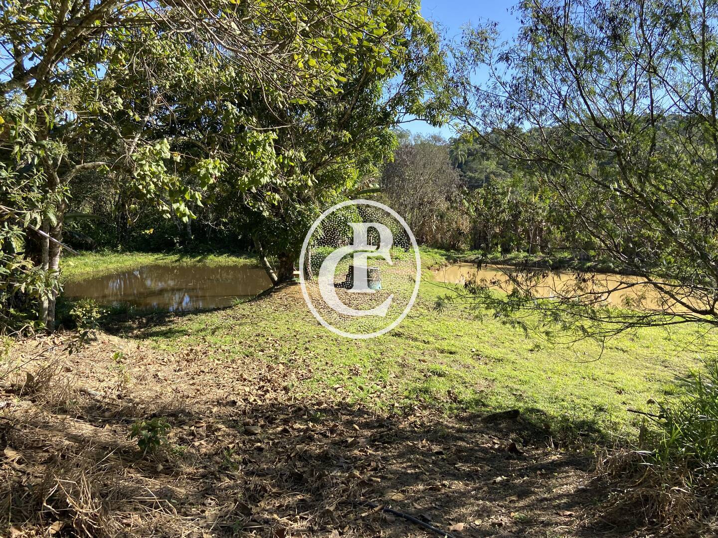 Chácara, 2 quartos, 2 hectares - Foto 12