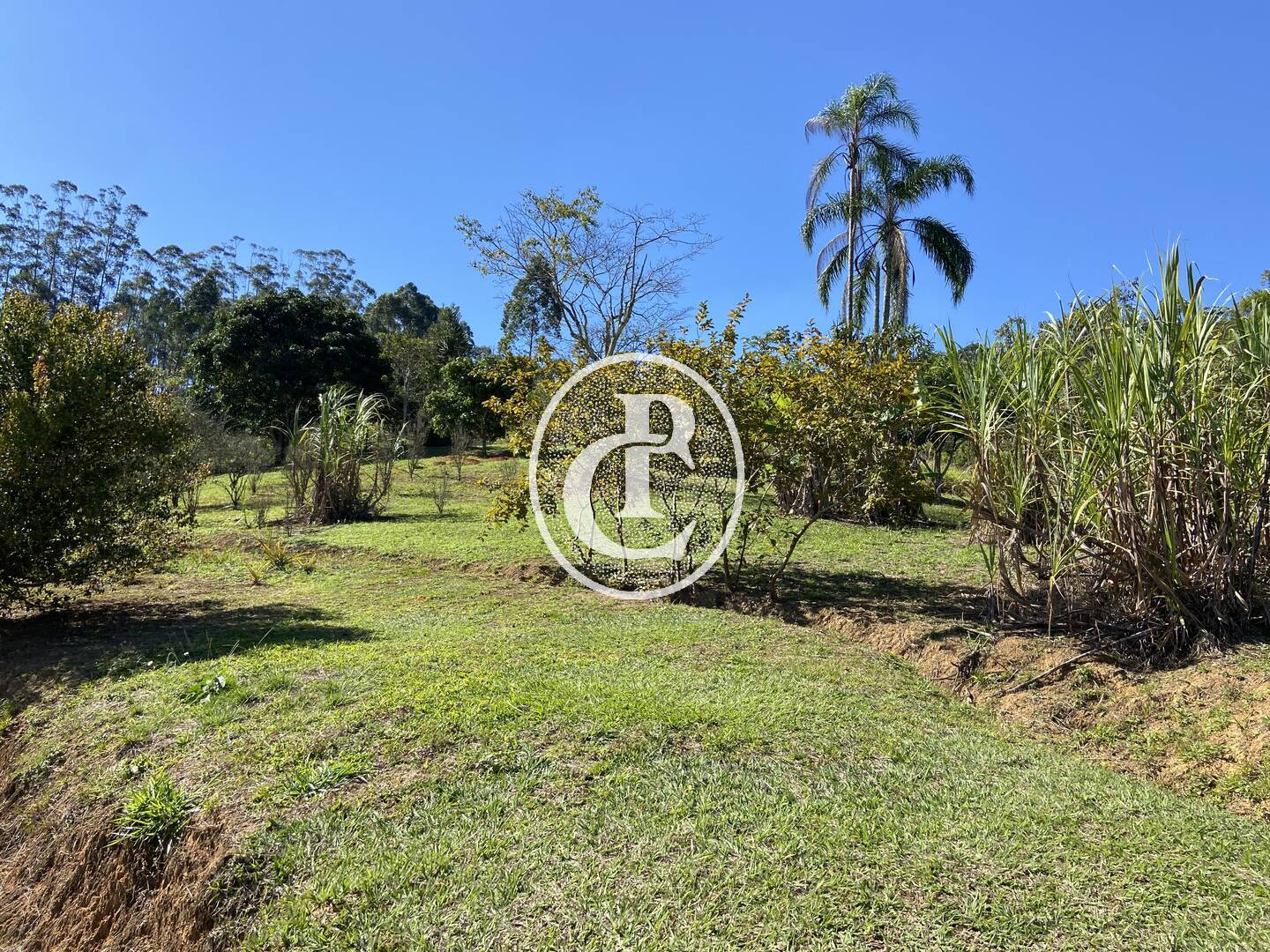 Chácara, 2 quartos, 2 hectares - Foto 13