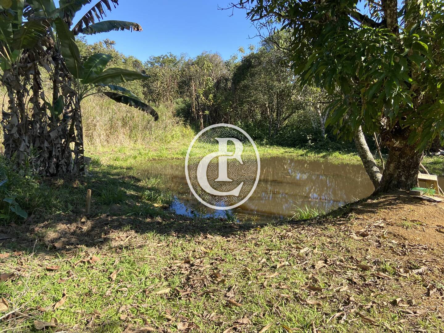 Chácara, 2 quartos, 2 hectares - Foto 15