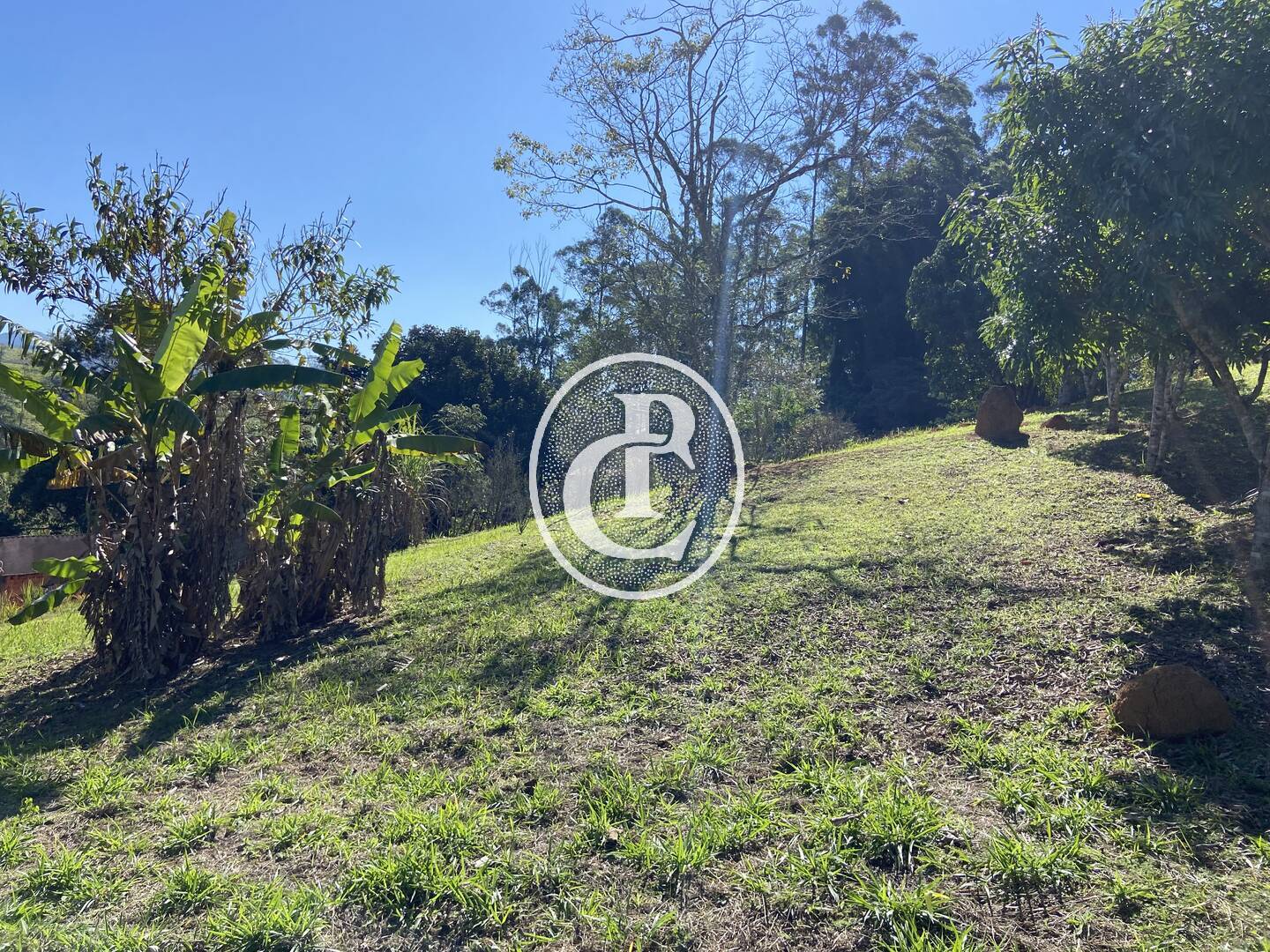 Chácara, 2 quartos, 2 hectares - Foto 17