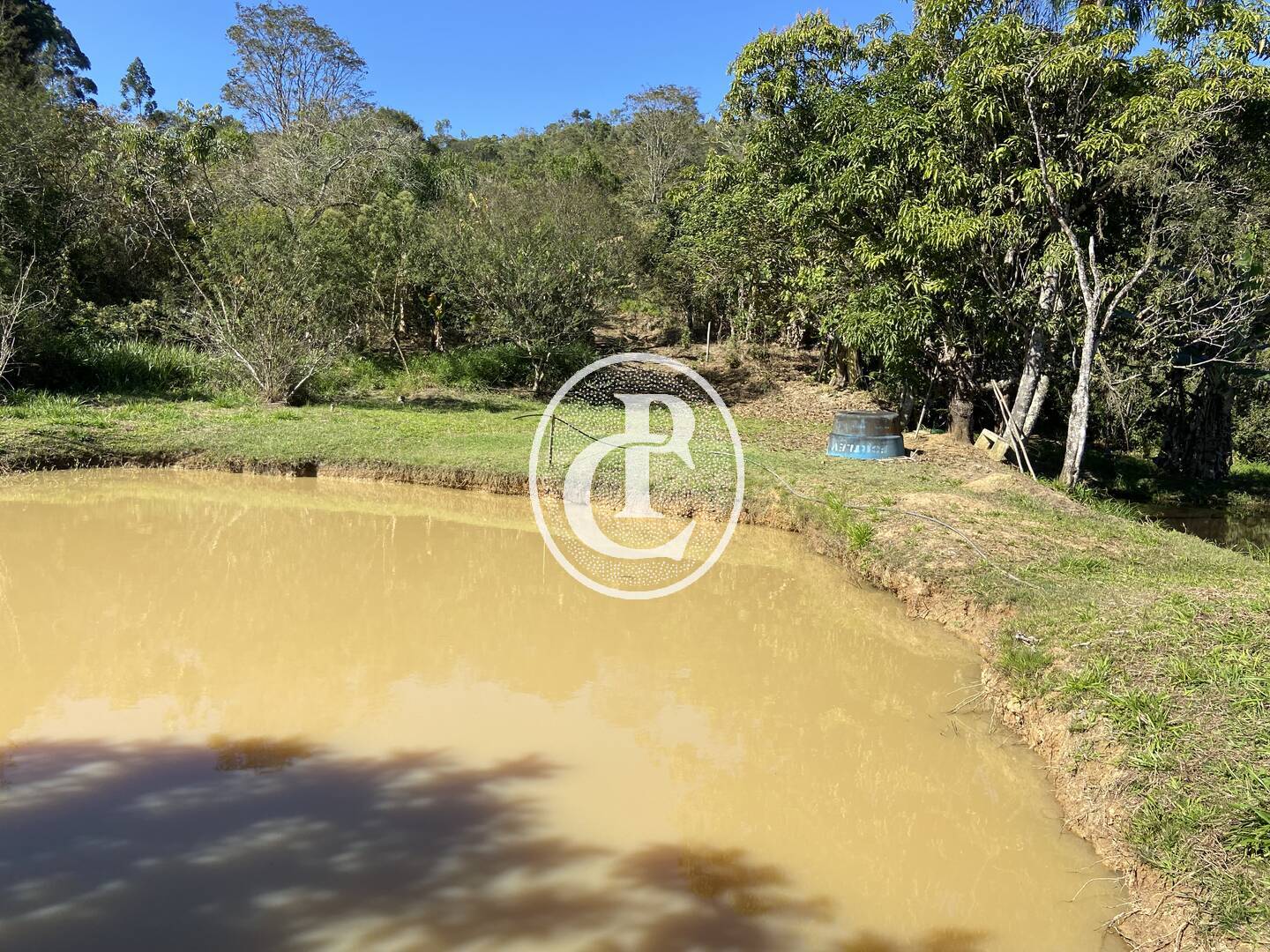 Chácara, 2 quartos, 2 hectares - Foto 19