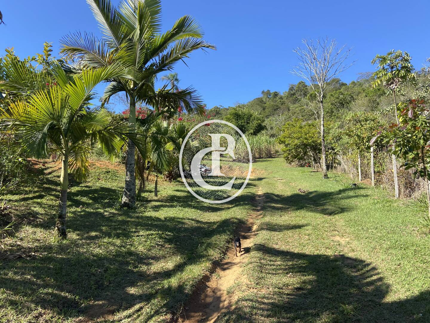 Chácara, 2 quartos, 2 hectares - Foto 20