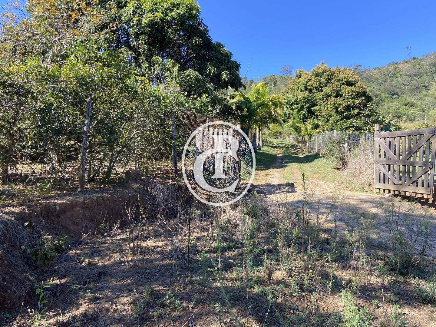 Chácara, 2 quartos, 2 hectares - Foto 24