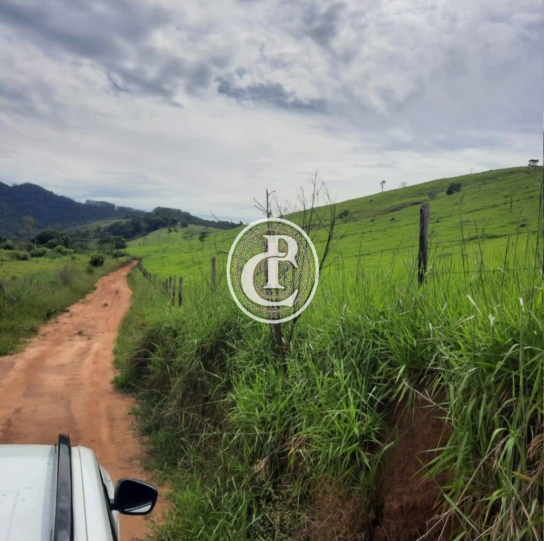 Fazenda, 203 hectares - Foto 4