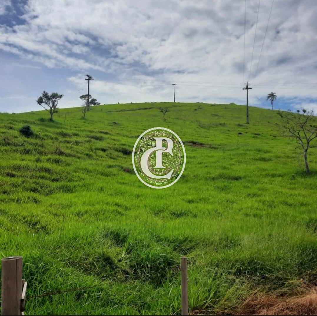 Fazenda, 203 hectares - Foto 3