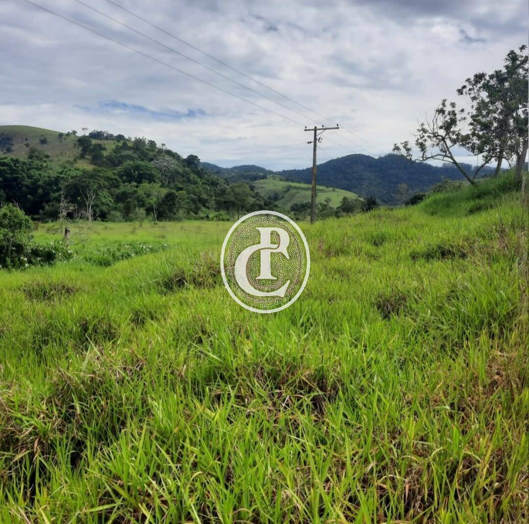 Fazenda, 203 hectares - Foto 5